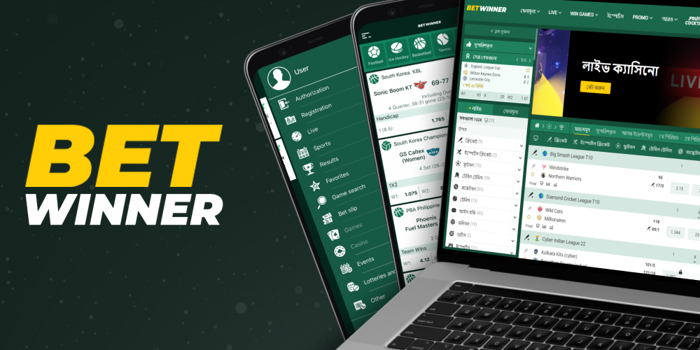 In 10 Minutes, I'll Give You The Truth About betwinner apk